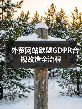 外贸网站欧盟GDPR合规改造全流程(图2) 外贸网站欧盟GDPR合规改造全流程(图2)