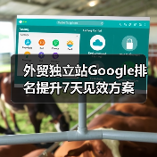 外贸独立站Google排名提升7天见效方案(图3) 外贸独立站Google排名提升7天见效方案(图3)