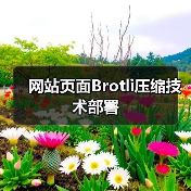 网站页面Brotli压缩技术部署
