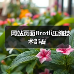 网站页面Brotli压缩技术部署（图4）