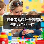 专业网站设计全流程解析助力企业推广(图3) 专业网站设计全流程解析助力企业推广(图3)