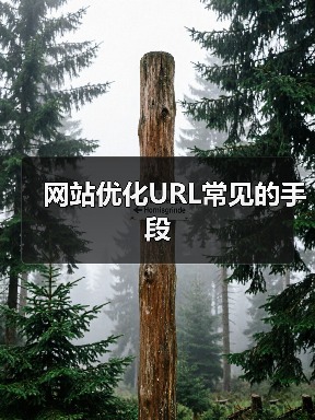 网站优化URL常见的手段