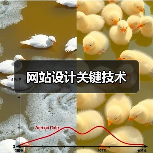 网站设计关键技术(图2) 网站设计关键技术(图2)