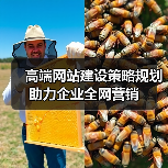 高端网站建设策略规划助力企业全网营销(图4) 高端网站建设策略规划助力企业全网营销(图4)