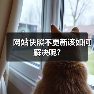 网站快照不更新该如何解决呢?