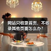 网站只收录首页，不收录其他页面怎么办？