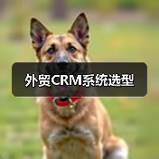 外贸CRM系统选型(图2) 外贸CRM系统选型(图2)