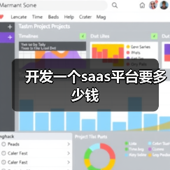 开发一个saas平台要多少钱(图3) 开发一个saas平台要多少钱(图3)