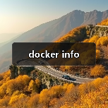 docker info