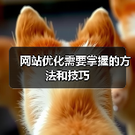 网站优化需要掌握的方法和技巧