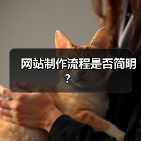 网站制作流程是否简明?(图4) 网站制作流程是否简明?(图4)