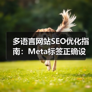 多语言网站SEO优化指南:Meta标签正确设置方法(图2) 多语言网站SEO优化指南:Meta标签正确设置方法(图2)