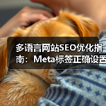 多语言网站SEO优化指南:Meta标签正确设置方法(图3) 多语言网站SEO优化指南:Meta标签正确设置方法(图3)