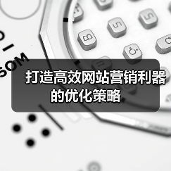 打造高效网站营销利器的优化策略(图4) 打造高效网站营销利器的优化策略(图4)