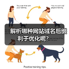 解析哪种网站域名后缀利于优化呢?(图2) 解析哪种网站域名后缀利于优化呢?(图2)