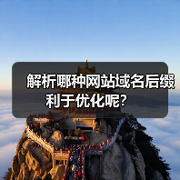 解析哪种网站域名后缀利于优化呢？