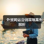 外贸网站营销策略案例解析(图2) 外贸网站营销策略案例解析(图2)