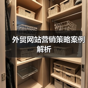外贸网站营销策略案例解析