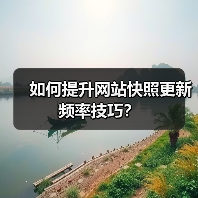 如何提升网站快照更新频率技巧？（图3）