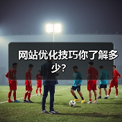 网站优化技巧你了解多少？