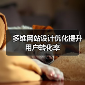 多维网站设计优化提升用户转化率(图2) 多维网站设计优化提升用户转化率(图2)