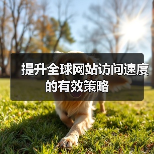 提升全球网站访问速度的有效策略（图2）