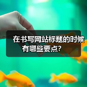 在书写网站标题的时候有哪些要点？（图3）
