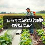 在书写网站标题的时候有哪些要点？