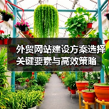 外贸网站建设方案选择关键要素与高效策略（图4）