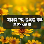 国际客户沟通渠道搭建与优化策略
