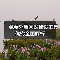 免费外贸网站建设工具优劣全面解析（图4）