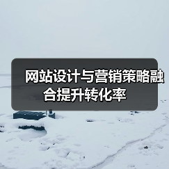 网站设计与营销策略融合提升转化率(图3) 网站设计与营销策略融合提升转化率(图3)