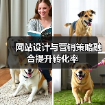网站设计与营销策略融合提升转化率(图2) 网站设计与营销策略融合提升转化率(图2)