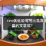 seo优化如何写出高质量的文章呢?(图3) seo优化如何写出高质量的文章呢?(图3)
