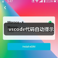 vscode代码自动提示（图3）