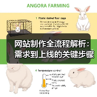 网站制作全流程解析:需求到上线的关键步骤(图4) 网站制作全流程解析:需求到上线的关键步骤(图4)