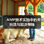 AMP技术实施中的关键挑战与解决策略（图3）