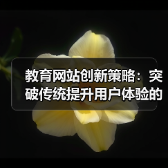 教育网站创新策略：突破传统提升用户体验的关键路径（图4）