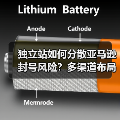 独立站如何分散亚马逊封号风险？多渠道布局策略（图2）