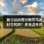 独立站如何分散亚马逊封号风险？多渠道布局策略（图3）
