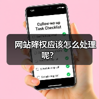 网站降权应该怎么处理呢？（图3）