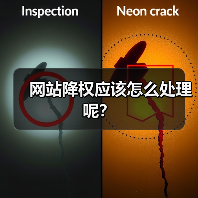 网站降权应该怎么处理呢？（图4）
