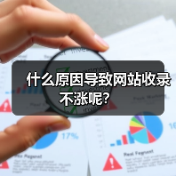什么原因导致网站收录不涨呢？（图3）