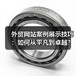 外贸网站案例展示技巧:如何从平凡到卓越?(图3) 外贸网站案例展示技巧:如何从平凡到卓越?(图3)