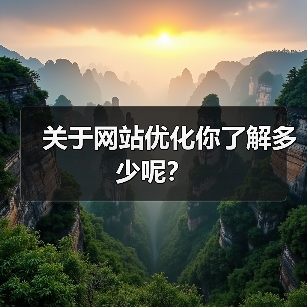 关于网站优化你了解多少呢？（图4）