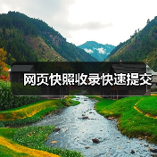 网页快照收录快速提交（图4）