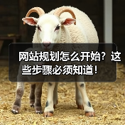 网站规划怎么开始？这些步骤必须知道！