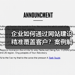 企业如何通过网站建设精准覆盖客户？案例解析（图3）
