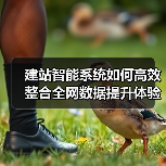 建站智能系统如何高效整合全网数据提升体验