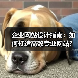 企业网站设计指南：如何打造高效专业网站？